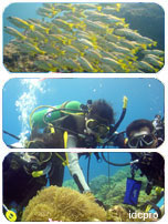 Scuba diving in spectacular Malaysia