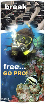 Break free...GO PRO PADI Divemaster!