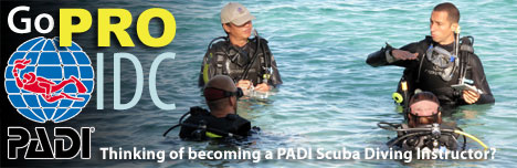 Thinking of Becoming a PADI Instructor? Click to find out more